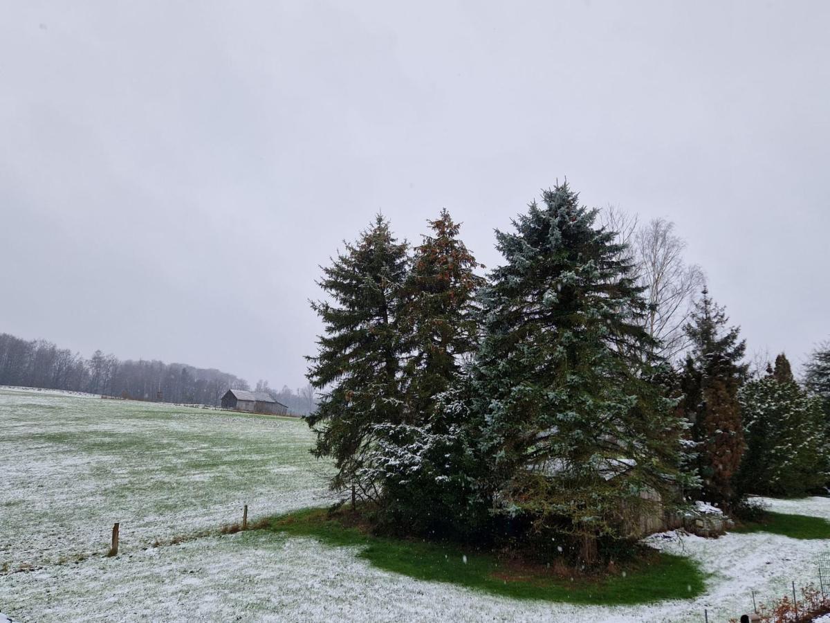 Ferienwohnung Arnsberger Wald Möhnesee المظهر الخارجي الصورة